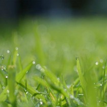 Post with disabled related posts