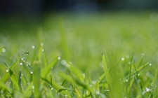 Post with disabled related posts