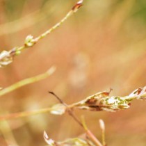 Portfolio post with slider