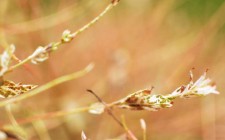 Portfolio post with slider